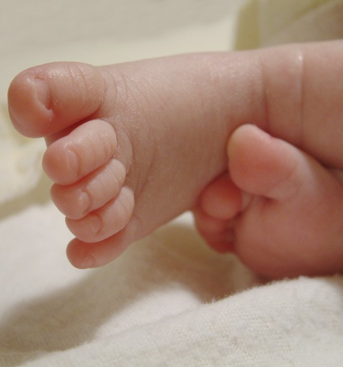 USA kaksikvennad sündisid 18-päevase vahega