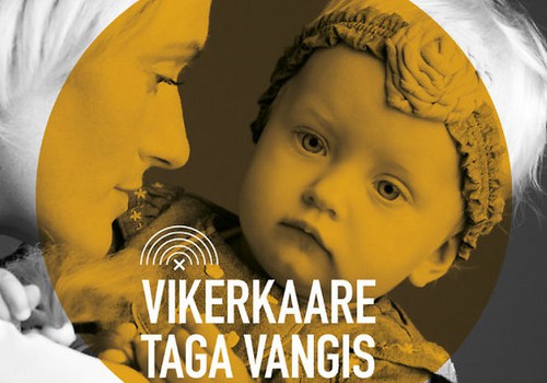 Lugemissoovitus: raamat Eesti emade kogemustest sünnitusjärgse depressiooniga