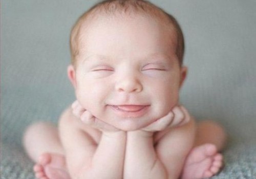 Teadlased: beebid mäletavad pigem õnnelikke hetki ning unustavad halva